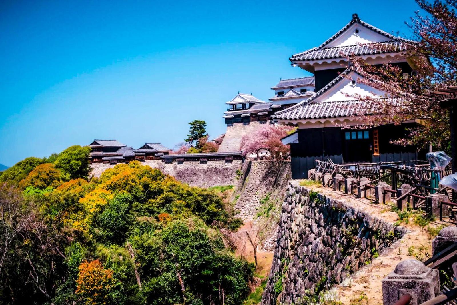 媛楽園 松山中心地及び道後温泉に近い家族やグループ旅行の多人数が泊まれる快適な宿 Eksteriør billede